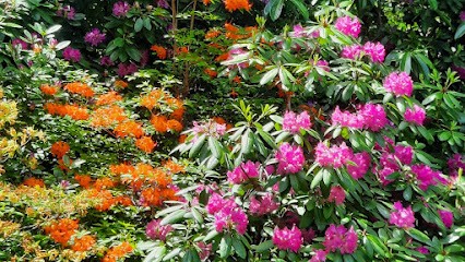 OHANA SERVICE, Jardinier à Vaux-le-Pénil