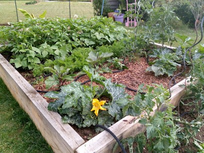 Souris'Au Jardin C. Sourisseau, Jardinier à Sèvremoine