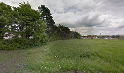 Bricodom Services, Jardinier à Verneuil-en-Halatte