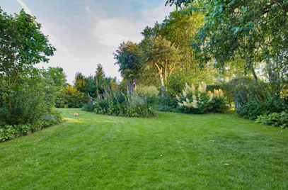 Jardinage Sans Matériel Jardinier à Brest