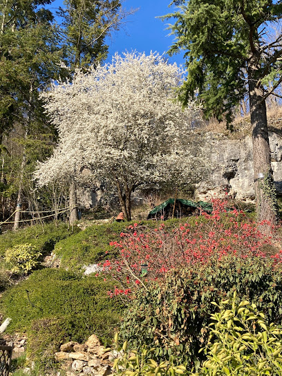 Yann My Garden : Service À La Personne (Crédit D'impôt) Jardinier à Nandy