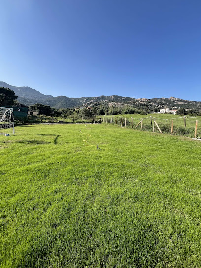 Corse Jardin Jardinier à Calvi