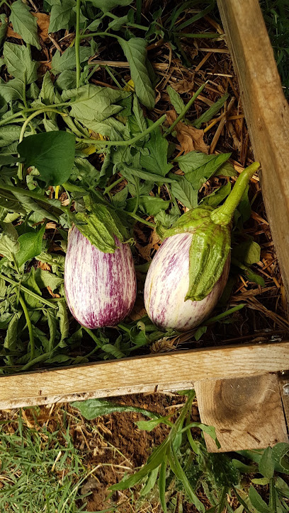 Fourches & Fourchettes, Jardinier à Veyrines-de-Vergt