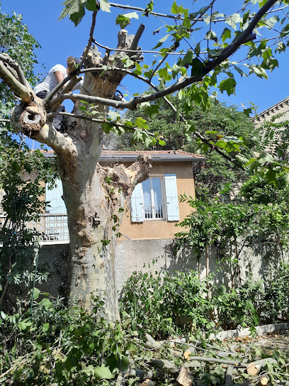 Rey: Jardinier Élagueur Jardinier à Avignon
