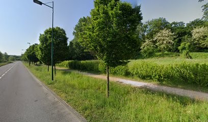 DUPONT ESPACE VERT ELAGUEUR JARDINIER VILLEFONTAINE, Jardinier à Villefontaine