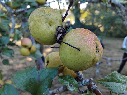 Idépom Jardinier à Riec-sur-Bélon