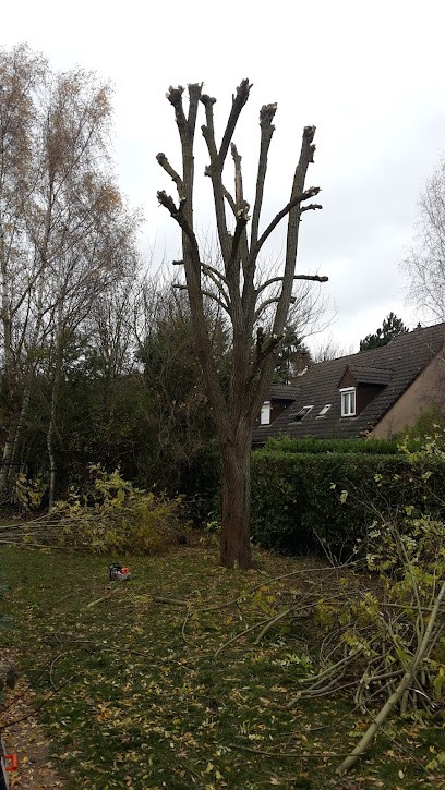 Dupeyron-prin entretien d espace vert,elagueur,élagage, abattage, taille de hais, Jardinier au Thor