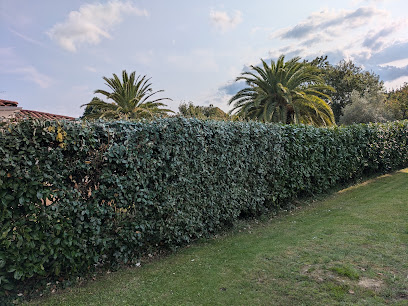 Alain Barnetch Jardinier Jardinier à Bidart