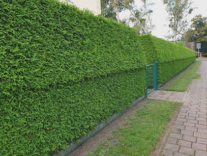 Bricojardin31 – Jardinier & Paysagiste Toulouse | Élagage & Abattage, Jardinier à Launaguet