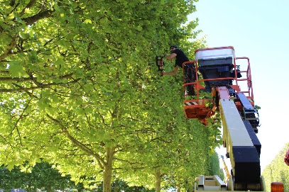 Entretien Espace Vert Blois Et Location Benne, Jardinier à Blois