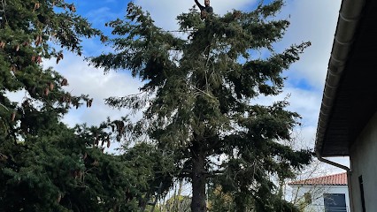 Patrick Espaces Verts Jardiner Taillage Abattage Élagage Cugnaux, Jardinier à Cugnaux