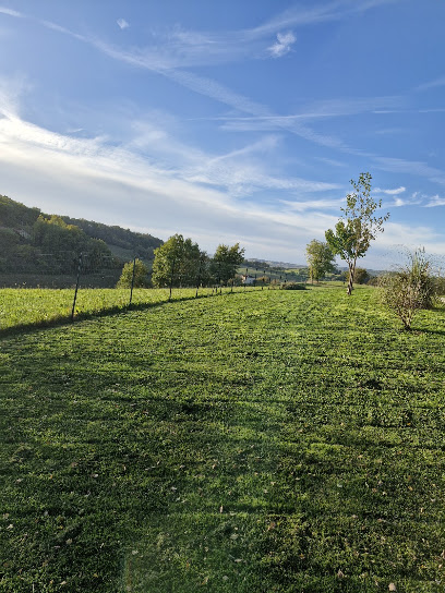 Sj Multiservices, Jardinier à Teyssode