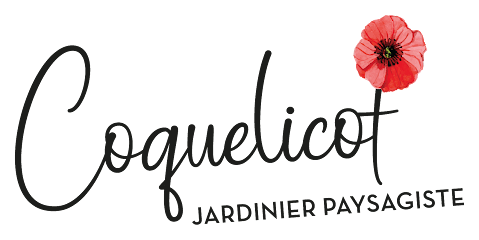 Coquelicot Jardinier, Jardinier à Vélye