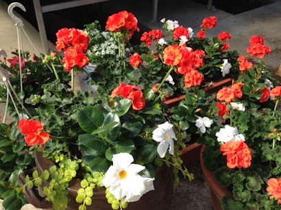 Zuber Jean-Louis, Jardinier à Saverne