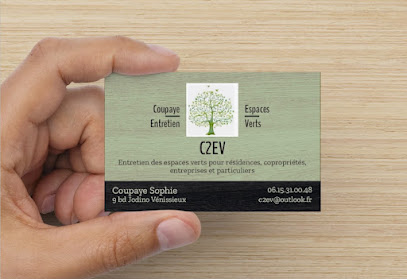 C2Ev Jardinier à Vénissieux