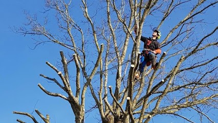 Laurot élagueur, Jardinier à Champigny-sur-Marne