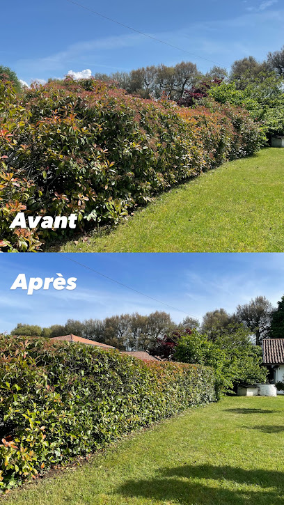 Green & Co, Jardinier à Capbreton