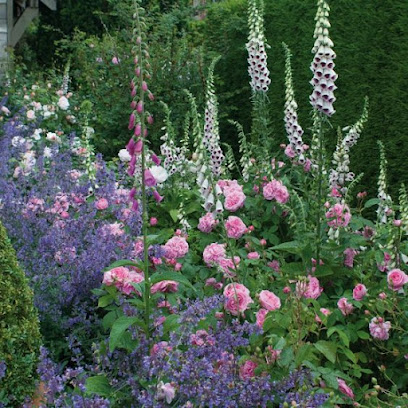 Jardins & Botanique - Coaching En Jardinage, Jardinier à Trévérien