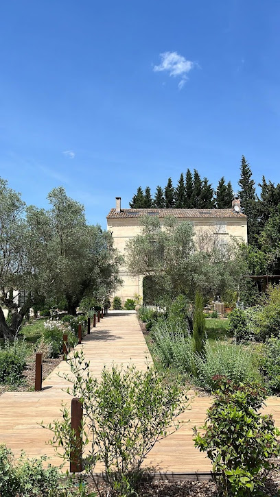 Lm Paysage - Pernes Les Fontaines Jardinier à Pernes-les-Fontaines