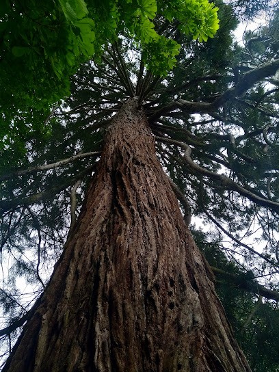 Ô Jardinbois, Jardinier à Saulnières