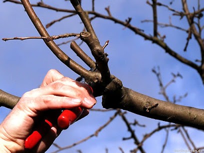 JM SERVICES JARDINS, Jardinier à Monteux