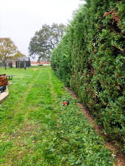 Brico Jardinier, Jardinier à Corme-Royal