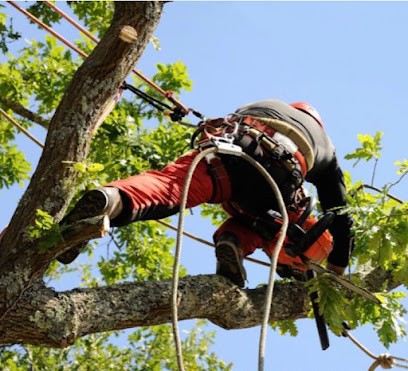 J,L Entreprise, Jardinier à Saint-Savin
