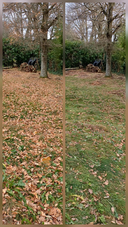 Dm Paysage, Jardinier à Saint-Genest-Lerpt