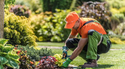 Jardiservice, Jardinier à Valenciennes