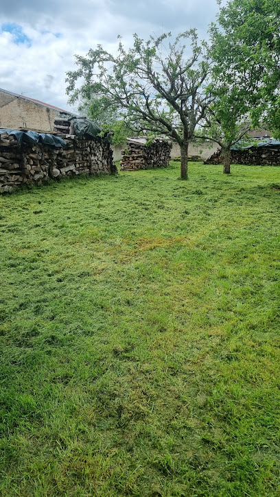 Dms Multiservice, Jardinier à Rambervillers