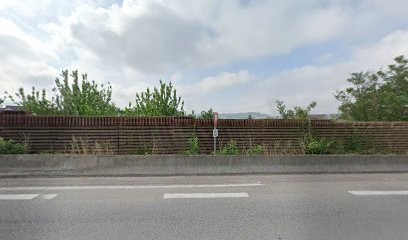 BOGLIONI Elagage 78 Yveline, Jardinier à Limay