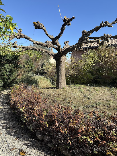 Sw Espace Vert, Jardinier à Seysses