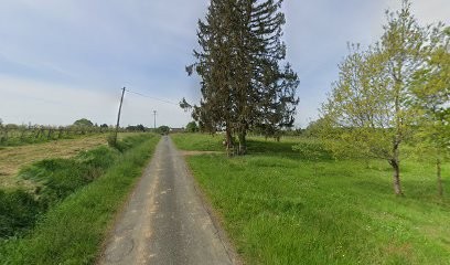 MG Jardinage, Jardinier à Sauveterre-de-Guyenne