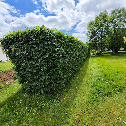 Toujours Plus Vert Jardinier à Poitiers