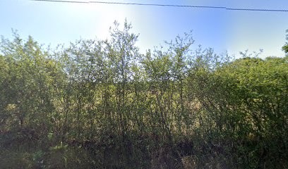 M2lpaysages, Jardinier à Saint-Martin-de-Laye