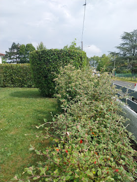 Horizon Vert, Jardinier à Toulenne