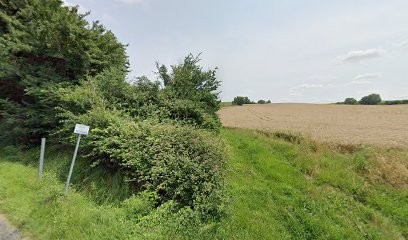Les Arts Du Jardin, Jardinier à Lasserre-Pradère