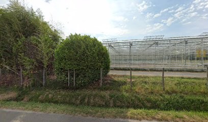 Peuraud EARL, Jardinier à Lindry