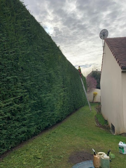Élagage vincent, Jardinier à Brétigny-sur-Orge
