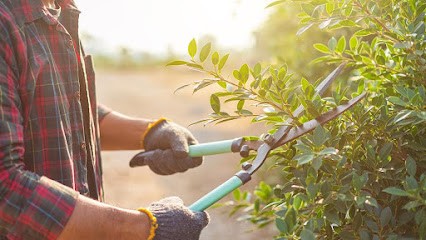 ENTREPRISE RODRIGUEZ, Jardinier à Vauvert