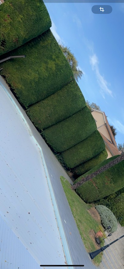 Pro Taille Paysage, Jardinier à Trévoux