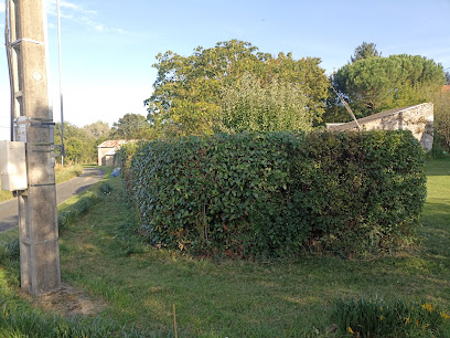 Ad Service Jardinier à Champtocé-sur-Loire