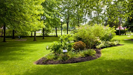 FABIEN SERVICES, Jardinier à Oxelaëre