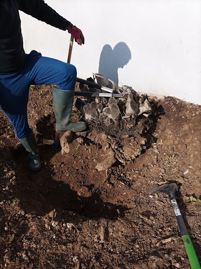 O2 Jardinage Nieul-sur-Mer, Jardinier à Virson