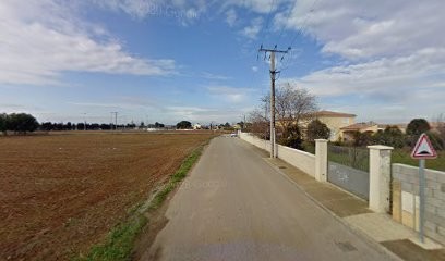 Emilien Lauret - Services Et Jardins, Jardinier à Valergues