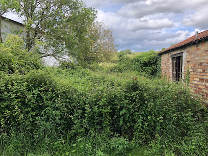 Pasquier Services Et Jardin Jardinier à Lain