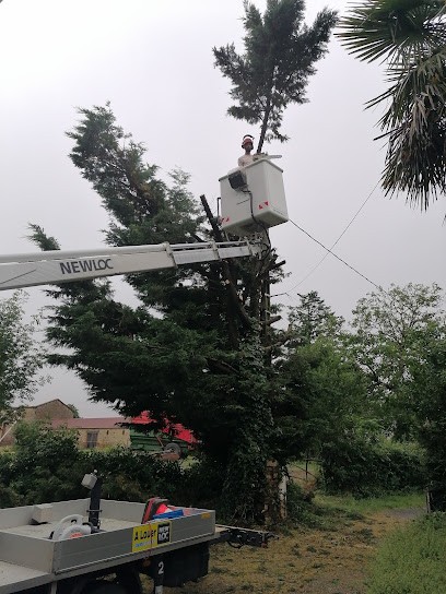 GG Nature, Jardinier à Monsireigne