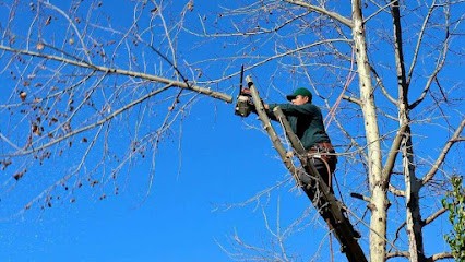 Artisan Adolphe, Jardinier à Verrières-le-Buisson