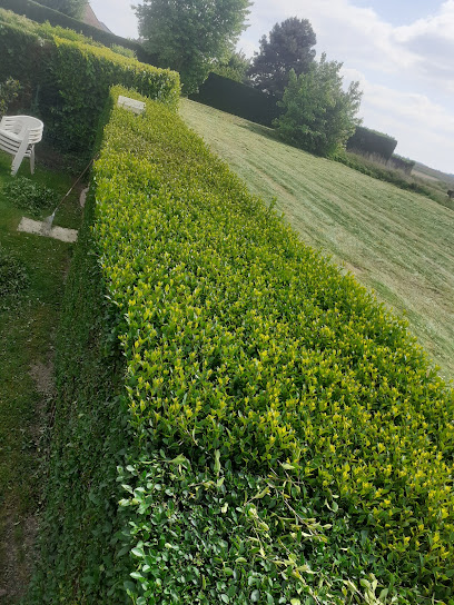 Sohier Jardinage, Jardinier à Valenciennes