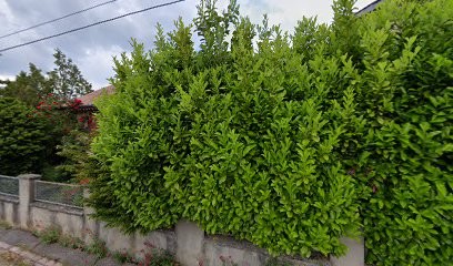 Hello le Jardinier | Jardinage & Paysagiste à Colmar - Wintzenheim | [Rami Jardins Services], Jardinier à Obermorschwihr